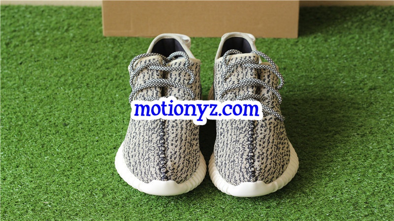 God Version Yeezy Boost 350 Turtle Dove